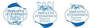 logoa%20morette%20tracciati.jpeg