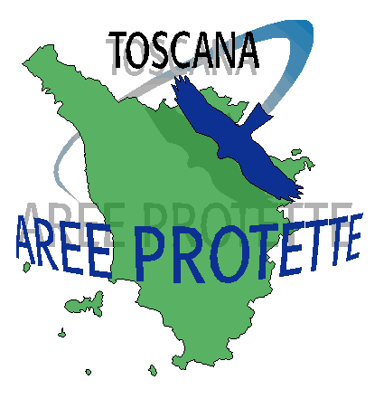 capovacca.jpeg