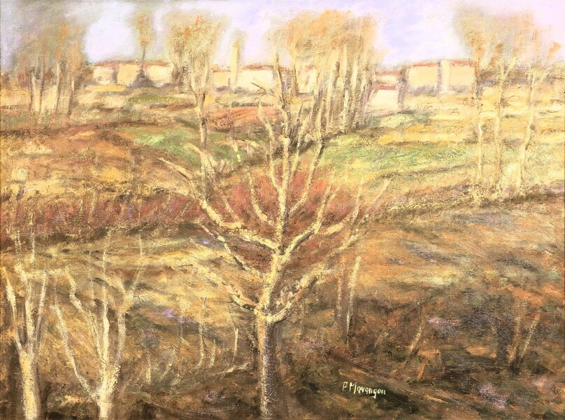 whatsapp image 2026-04-02 at 17.30.32 (6).jpeg