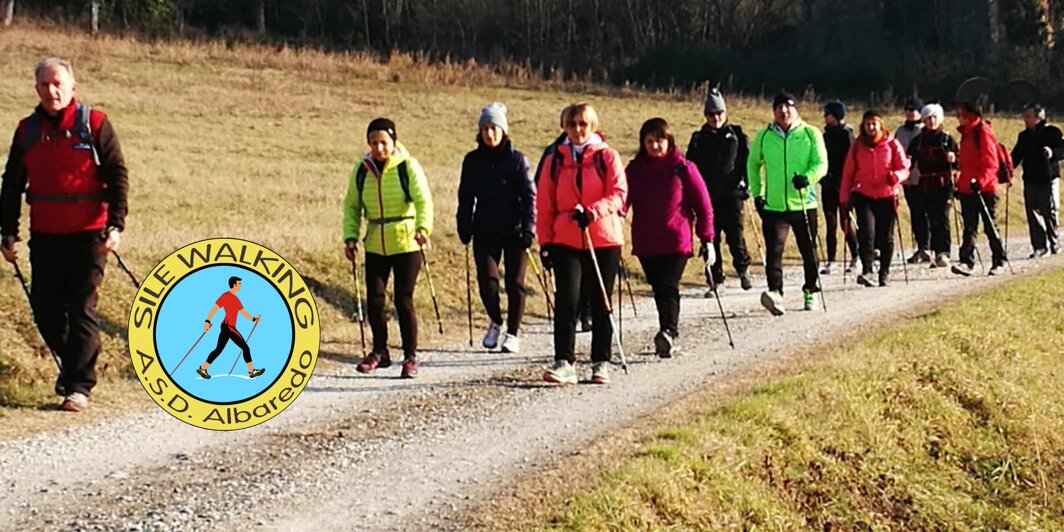 banner home page sile walking.jpeg