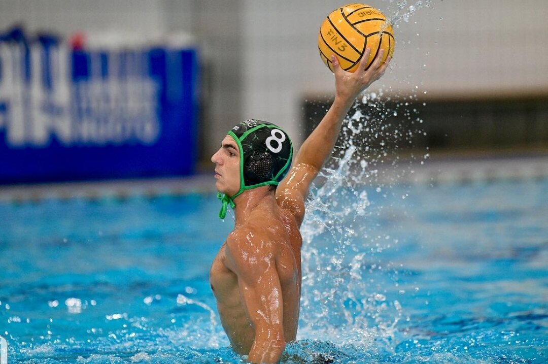 whatsapp-image-2025-10-31-at-13.52.37.jpeg whatsapp-image-2025-10-31-at-13.52.37.jpeg