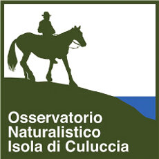 banner osservatorio.jpeg