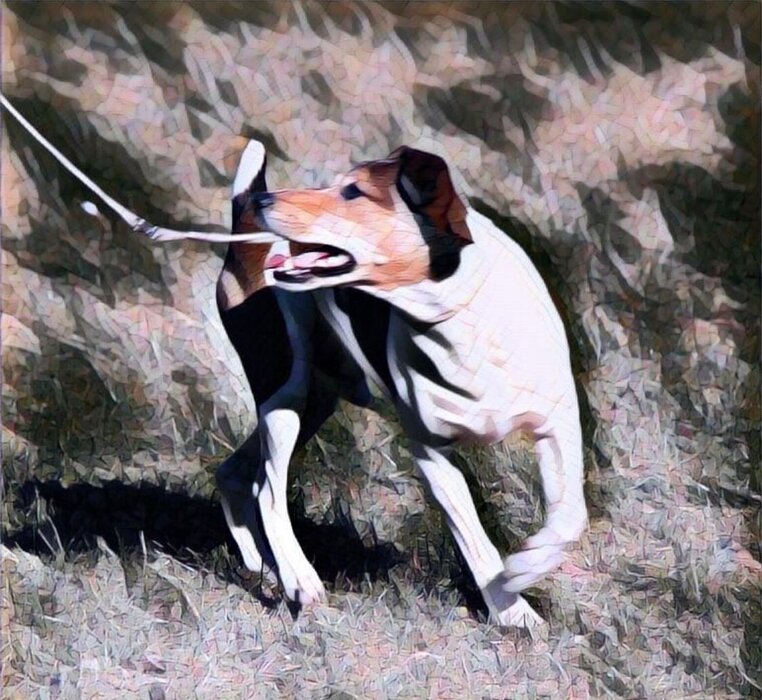 02a7ae295798ca3d6bdd496b1edae2cea55e45dd 02a7ae295798ca3d6bdd496b1edae2cea55e45dd