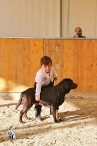 042f66390914a4040538915dd19b8e317ff3e7e5