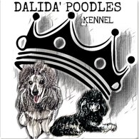 062a2d2eaa3f63da0e883fe699ae8f62c4c6e494.jpeg 062a2d2eaa3f63da0e883fe699ae8f62c4c6e494.jpeg