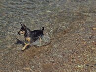 0a3f123adf6801609f0b2fbac5f277a27b11cdd7