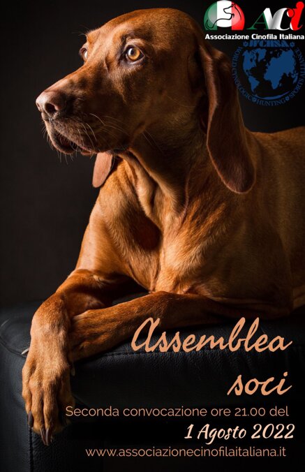 0af404d4e2163bb22e5835ffc53aaa50739a4d37 0af404d4e2163bb22e5835ffc53aaa50739a4d37