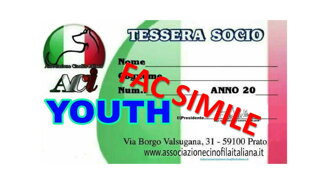 0bf3fe2b48924c2ed08652ff4db0a3498a1f3234 0bf3fe2b48924c2ed08652ff4db0a3498a1f3234