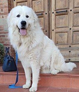 0ecd2419845d38e9519881671624cce7c8761ac9