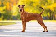 0eda1f9fce74a4a61f00bbf3c62ded356ba5030c