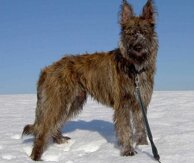 10aae5ac8b9bed9aeb5fee6a1fd296ace3338842