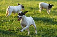 10ecc3dba554b7933378bad3f82c27f6bd87c667