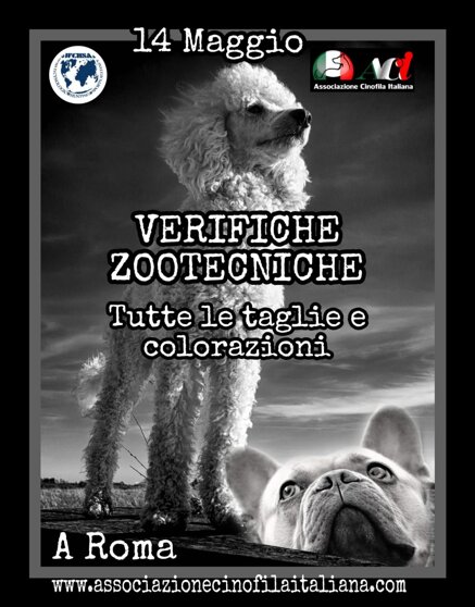 11774f5a7f2b8d9fbb11bb731b05f7a7834a2cd5 11774f5a7f2b8d9fbb11bb731b05f7a7834a2cd5