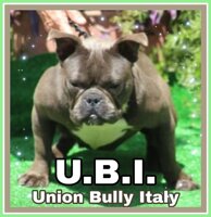 15b0d22cc7e35ff7ceee7d010ce2807b422a4bc9 15b0d22cc7e35ff7ceee7d010ce2807b422a4bc9