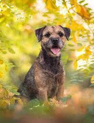 20e8312d18a85c49119fd5f3ef449edb4e43f264