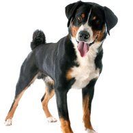 2569cf2232c6f310033f46dd29fbd2c684d71bb5