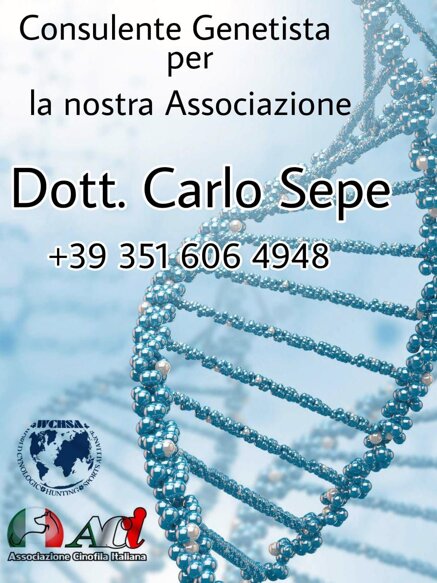 263ee0cf26ecae8a9fcab19dd092cc461b93b492 263ee0cf26ecae8a9fcab19dd092cc461b93b492