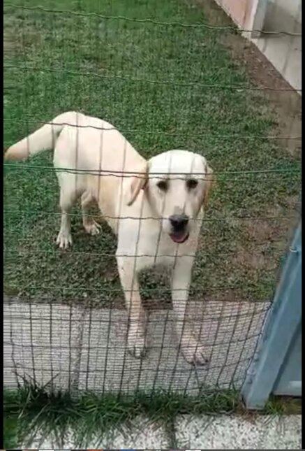 26562fde1c36d959e0931fe624de8cf8728c570a 26562fde1c36d959e0931fe624de8cf8728c570a