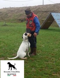 31f090eb1d3b055c9ff23b13127ce7c37c35a293.jpeg 31f090eb1d3b055c9ff23b13127ce7c37c35a293.jpeg