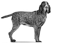 375441b0e612dbe65c0ea9af6493de41bcc7d9f4