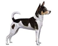 38245c8324e40e347a803472c5332c5c4b4c8e3a