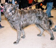 3832d2e6aa7142093ed92deb39bdf0716ec85b8d