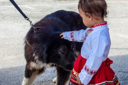 3b8564c849a990b4c2e1805c5b5610b87f9069ec 3b8564c849a990b4c2e1805c5b5610b87f9069ec