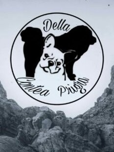 3bd8b7009595adde5bb06a4abdb1acee08c774b1.jpeg 3bd8b7009595adde5bb06a4abdb1acee08c774b1.jpeg