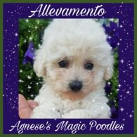 3e89d9e8bbba4e9e7237304fc15252e7cc46f9b6.jpeg 3e89d9e8bbba4e9e7237304fc15252e7cc46f9b6.jpeg