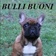 4175566f70ca6e027306c721a8fc3dff541478c5 4175566f70ca6e027306c721a8fc3dff541478c5