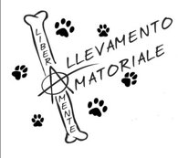 41b8695db1d470647d098674c1a3ef57f1af0462.jpeg 41b8695db1d470647d098674c1a3ef57f1af0462.jpeg