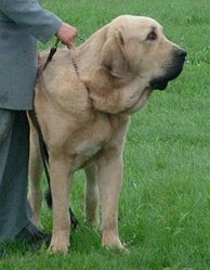 442498fb5536906f077a1dbededb5d0cd883fb24