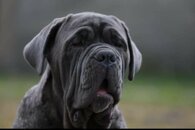 44fb2246346390bbcb278d76fb79fc6763015e37