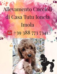 45bd9749a7aca25cf60f25a134e8646b15bf549e 45bd9749a7aca25cf60f25a134e8646b15bf549e