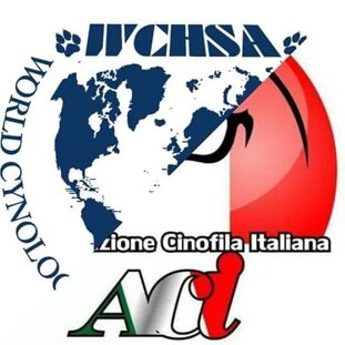 47f1ba4ba887509a3f1d3afc9a7f91a023cce74e