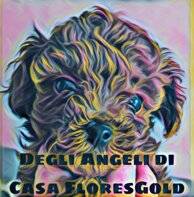 484d67b35ce86369c89cf96fab532af6584f55cc 484d67b35ce86369c89cf96fab532af6584f55cc