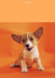 4856df917968c989df3ebfaf0e0d11ba85a9ccdf 4856df917968c989df3ebfaf0e0d11ba85a9ccdf