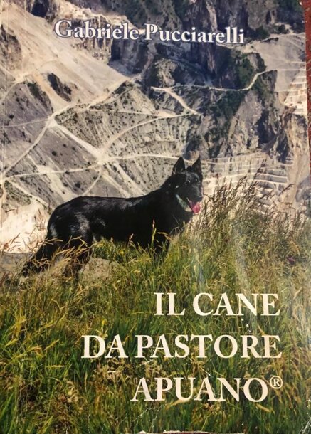 4b60fe0b8d77a366c437f4543e952c82c3fc7df1 4b60fe0b8d77a366c437f4543e952c82c3fc7df1