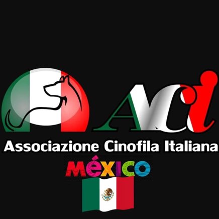 4c442db02666ca28f08a2d5d37738cd5694e11b7 4c442db02666ca28f08a2d5d37738cd5694e11b7