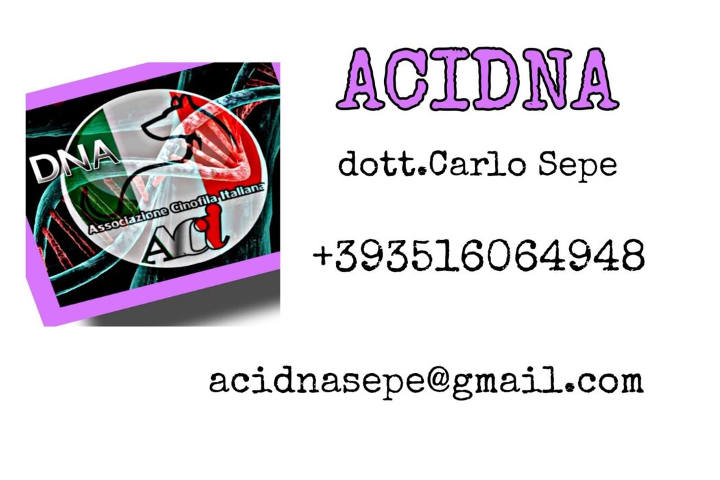 5605674ab06de99f194f5253e0d837219d91a5df 5605674ab06de99f194f5253e0d837219d91a5df