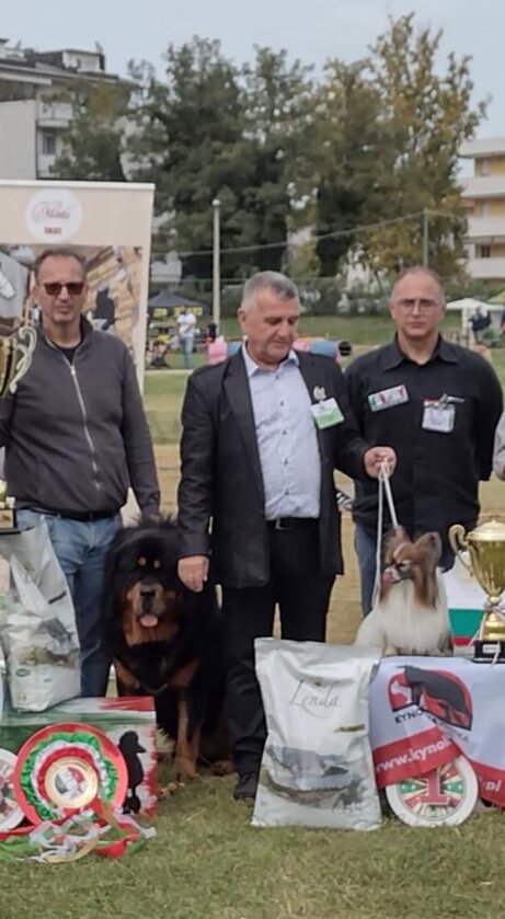 56b03dbfc4593e2ab320f62ae132d6569e285ef1