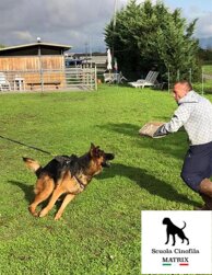 5930a4ea2a1a83e7f77fe691aaef2243d101cde2.jpeg 5930a4ea2a1a83e7f77fe691aaef2243d101cde2.jpeg