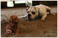 5b6622e856d3fb4a12828dfd980954bae0d9966a