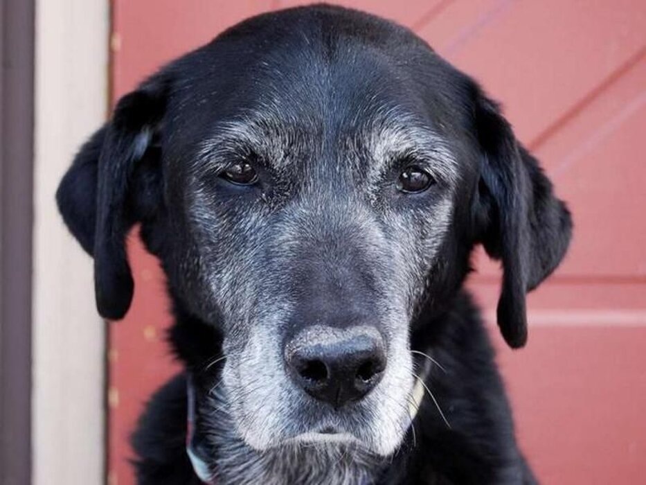 5c54df3b0035c7deb504bcc2bdf57439f82e95a7 5c54df3b0035c7deb504bcc2bdf57439f82e95a7