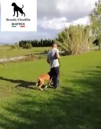 5e73f880a44b3c18a881950cac160482b37f7149.jpeg 5e73f880a44b3c18a881950cac160482b37f7149.jpeg