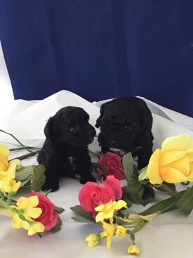 5f86454ad75f8f9c4a4c8e9f5731a93bb1d17cf1