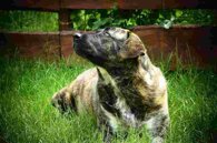 60a4c26189f65cc893965957974d6aedf586739f