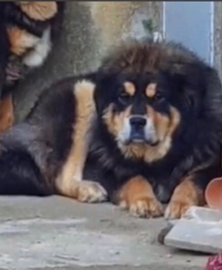 63c924874d7811ef58cfa8718d6ca6905b5394d1 63c924874d7811ef58cfa8718d6ca6905b5394d1