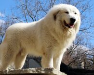 63d9a3f890e698b28766f10ee66ac273e50c2c0f