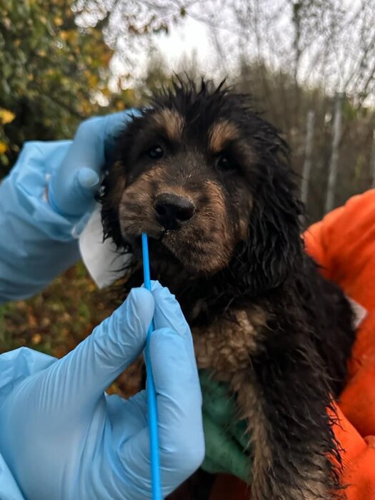 64ce0f5d093a2289770d99f08241c86827524e64 64ce0f5d093a2289770d99f08241c86827524e64